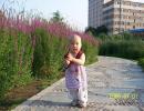Îª»¨¶ùºÈ²Ê