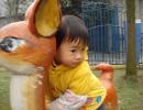 DSC00238