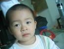 Gogoal