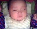 IMG0212A