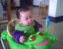 IMG0242A
