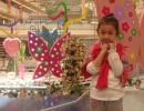DSC00534