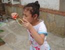 DSC00984