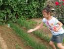 DSC00986