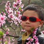 xiaoyur